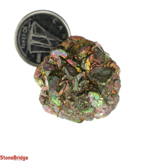 Marcasite Nodules Specimens #4 - 30g to 40g    from Stonebridge Imports