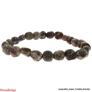 Leopardskin Jasper Tumbled Braceletss from The Rock Space