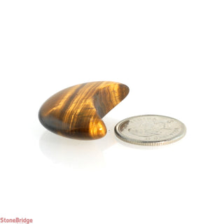 Tiger Eye Gold Moon Carving    from The Rock Space