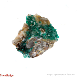 Dioptase Specimen on Matrix U#26 - 1 1/4"    from The Rock Space