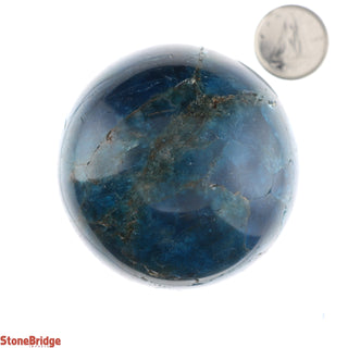 Apatite Blue Sphere - Extra Small #4 - 2"    from The Rock Space