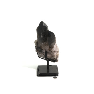 Smoky Quartz Cluster on Iron Stand U#31    from The Rock Space