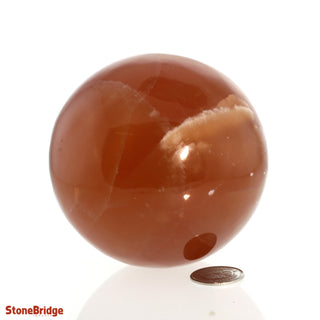 Calcite Honey Sphere - Medium #4 - 3"    from The Rock Space