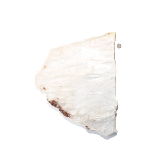 Selenite Window Slab U#8 - 15 1/2"    from The Rock Space