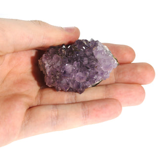 Amethyst Druze Cluster #0 (50g to 99g, 1.5" to 4")