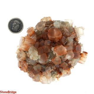 Aragonite Sputnik Cluster #6    from The Rock Space