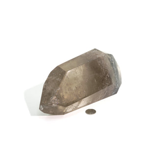Smoky Quartz Double Terminated Point U#2 - 9" from The Rock Space