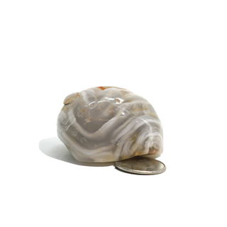Enhydro Agate Geodes - 2"    from Stonebridge Imports