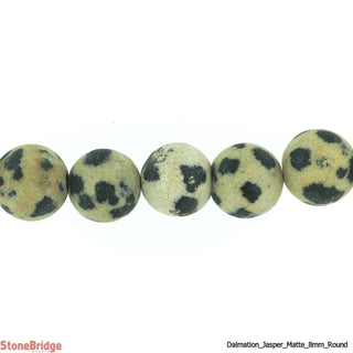 Dalmatian Jasper Matte - Round Strand 15" - 6mm    from The Rock Space