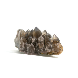 Smoky Quartz Rutilated Cluster U#2    from The Rock Space