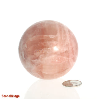 Calcite Rose Sphere - Small #2 - 2 1/4"    from The Rock Space