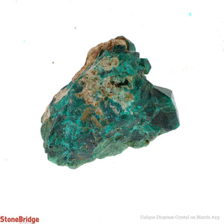 Dioptase Specimen on Matrix U#23 - 2"    from The Rock Space