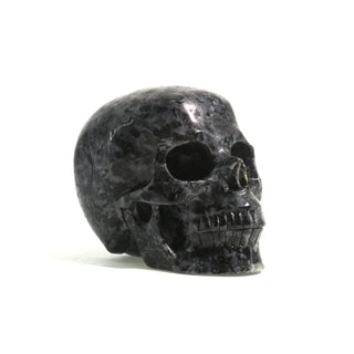 Gabbro Skull U#22    from The Rock Space