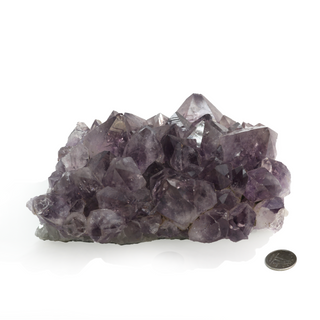 Amethyst Clusters #5 - 5" to 7"    from The Rock Space