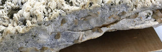 Albite with Cleavelandite Crystal U#21 - 20"    from The Rock Space