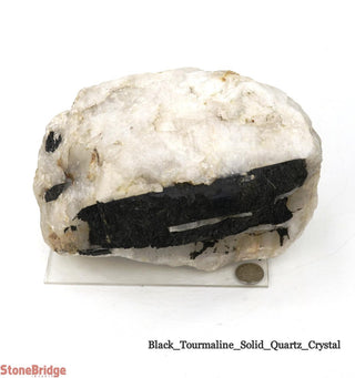 Black Tourmaline on Quartz Matrix U#7    from The Rock Space