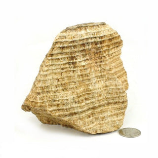 Aragonite Peru Chunk #1    from Stonebridge Imports