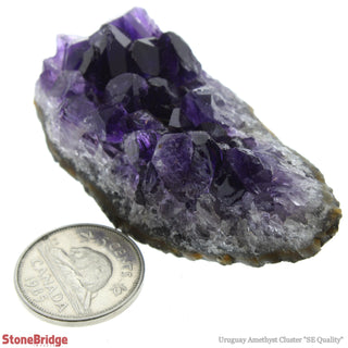 Amethyst Uruguay Cluster E #1S 20g to 49g    from The Rock Space