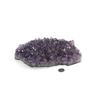 Amethyst Clusters #6 - 6" to 8"    from The Rock Space