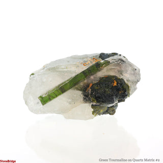 Green Tourmaline on Quartz Matrix #2 from The Rock Space