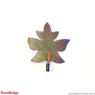 Electroplated Jewelry Leaves - Type #8 - Rainbow    from The Rock Space