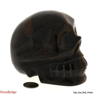 Tiger Eye Skull U#5    from The Rock Space