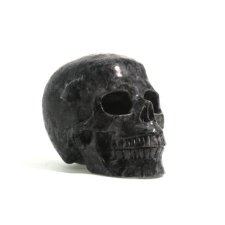 Gabbro Skull U#23    from The Rock Space