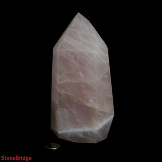 Rose Quartz Generator U#7 - 6 1/2"    from The Rock Space