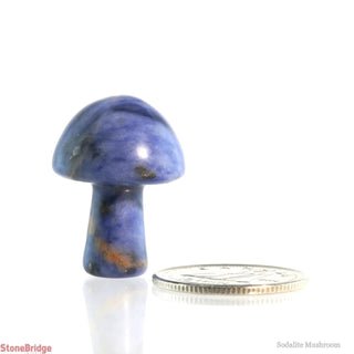 Sodalite Mushroom    from The Rock Space