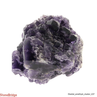 Amethyst Elestial Quartz Cluster U#37 - 8 1/2"    from Stonebridge Imports