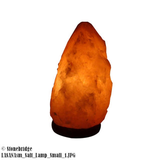 Himalayan Salt Lamp - Small from The Rock Space