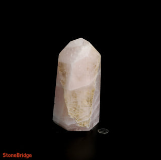 Rose Quartz Generator U#30    from The Rock Space