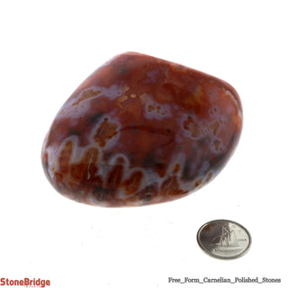 Carnelian Polished Free Form #4 - 230g to 280g    from The Rock Space