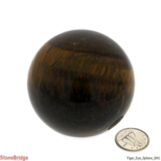 Tiger Eye Sphere - Small #1 - 2 1/4"    from The Rock Space