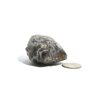 Enhydro Agate Geodes - 2"    from Stonebridge Imports