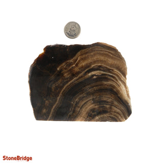 Calcite Chocolate Slice #4 from The Rock Space