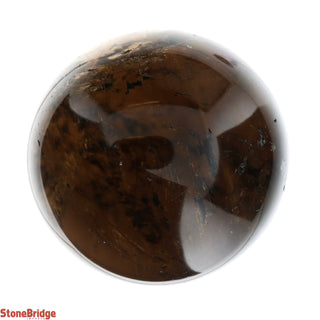 Smoky Quartz A Sphere - Small #1 - 2 1/4"