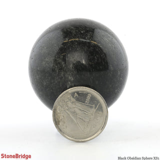 Black Obsidian Sphere - Extra Small #1 - 1 1/2"    from The Rock Space