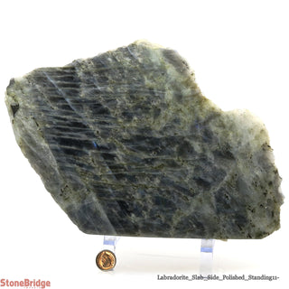 Labradorite Standing Slice Polished U#11 - 6 1/2"    from Stonebridge Imports