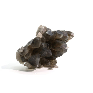 Smoky Quartz Rutilated Cluster U#2    from The Rock Space