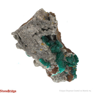 Dioptase Specimen on Matrix U#5 - 1 3/4" from The Rock Space