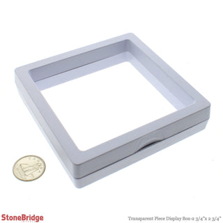 Transparent Piece Display Box - 10 Pack    from The Rock Space