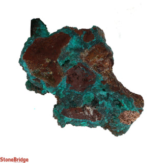 Dioptase Specimen on Matrix U#4 - 2"    from The Rock Space