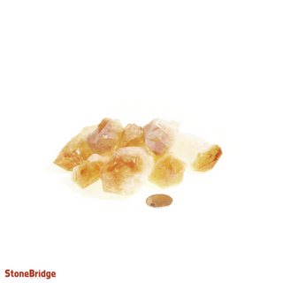 Citrine Points - Medium from The Rock Space