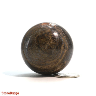 Bronzite Sphere - Extra Small #1 - 1 1/2"    from The Rock Space