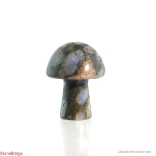 Labradorite Mushroom    from The Rock Space