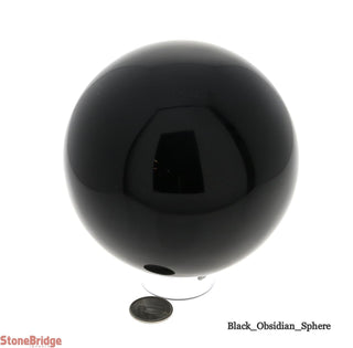 Black Obsidian Sphere - Jumbo #3    from The Rock Space