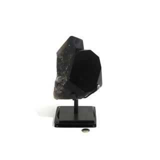 Smoky Quartz Cluster on Iron Stand U#44    from The Rock Space