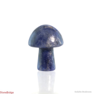 Sodalite Mushroom    from The Rock Space