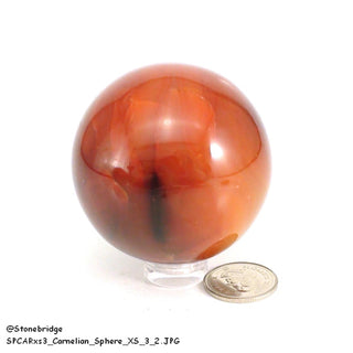 Carnelian Sphere - Extra Small #3 - 2"    from The Rock Space